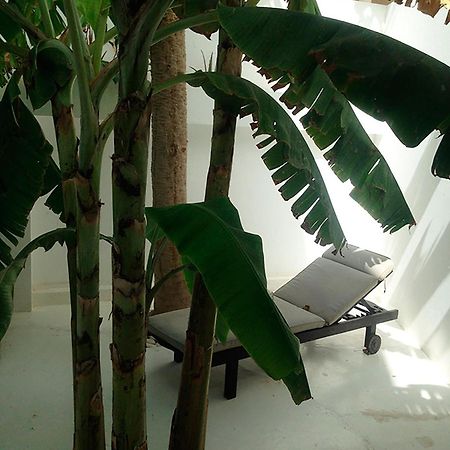 ホテル Casa Branca ミンデロ エクステリア 写真